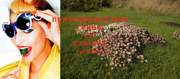 спайс Богородицк