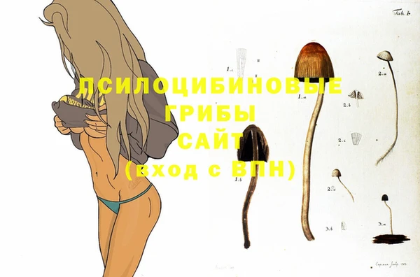 спайс Богородицк