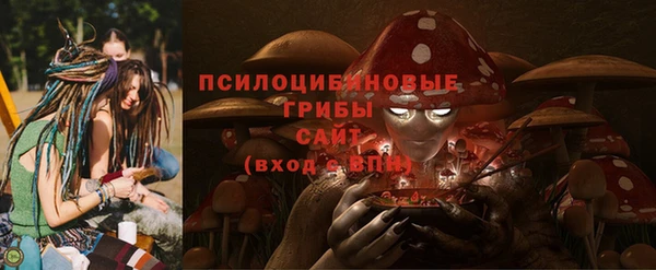 спайс Богородицк