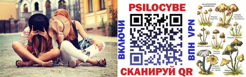 Купить закладки  Белый  Галлюциногенные грибы Psilocybe 